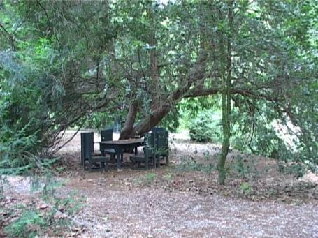 Museum Insel Hombroich : Parklandschaft